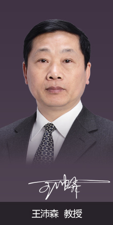 王沛森教授